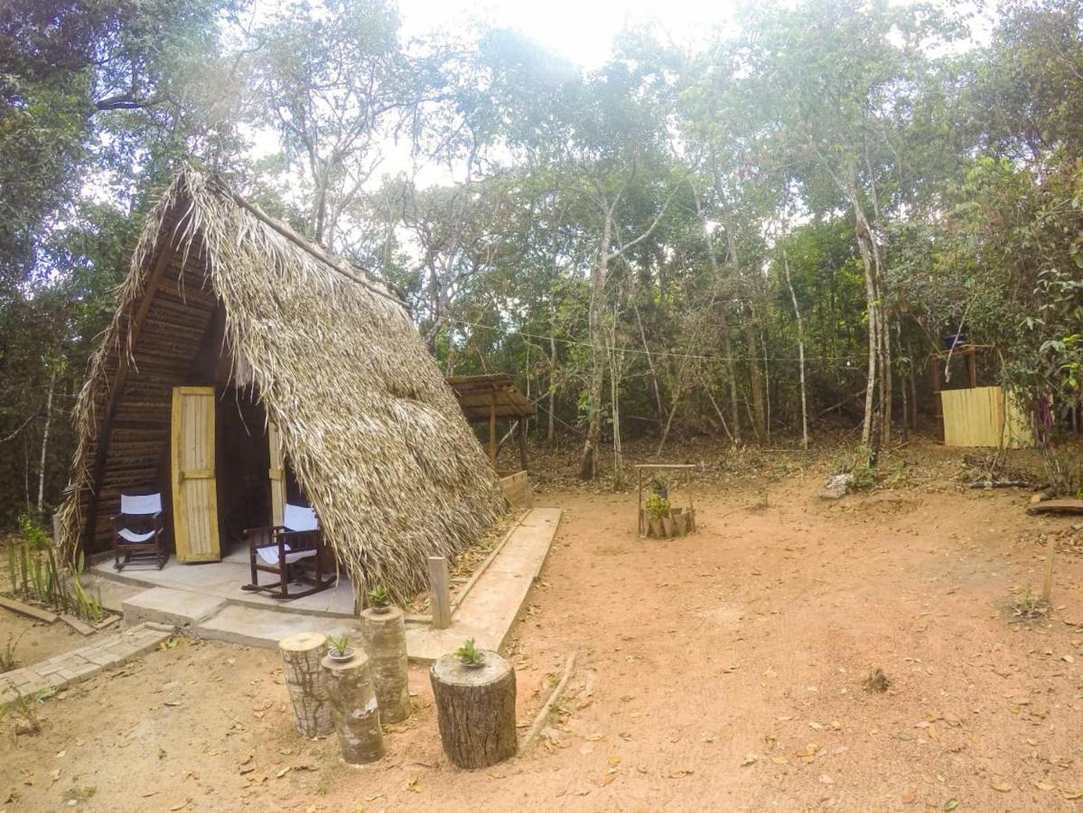 Hotel Hospedagem Aldeia Do Leao Carolina  Exteriér fotografie